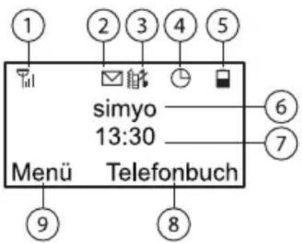 Simvalley Easy-5 - Displaysymbole im Hauptdisplay - 1