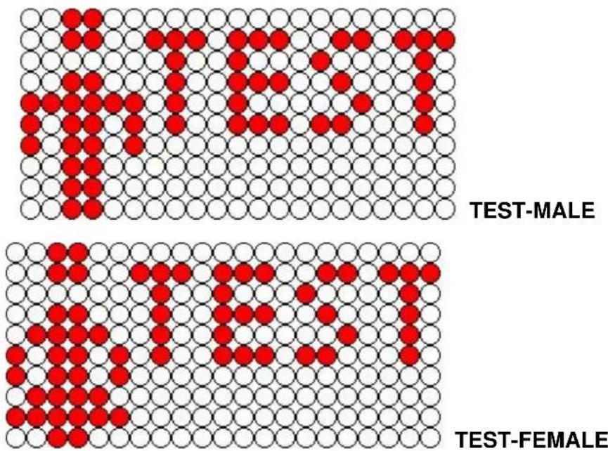 Finnlo Maximum B22 3452 - TEST FIGURE: - 1