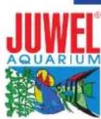 Juwel Korall - 1