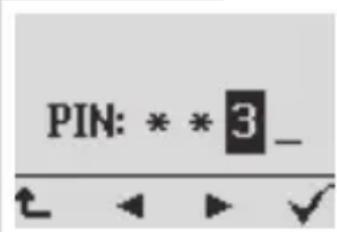 GRUNDIG Digta 422 - Entering the four digits PIN - 1