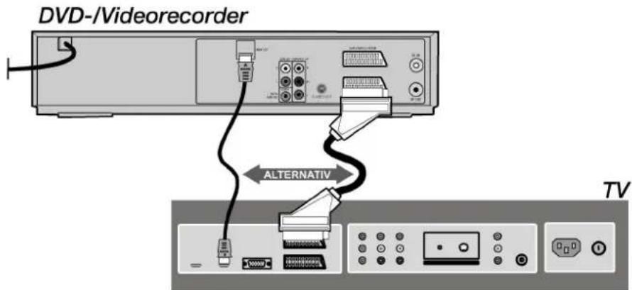 DVD-/Videorecorder ALTERNATIV TV