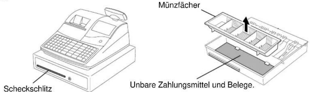 TEC MA-1535 - Scheckschlitz - 1