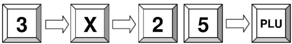 Quorion QMP 5000 - Multiplikation/Division - 2