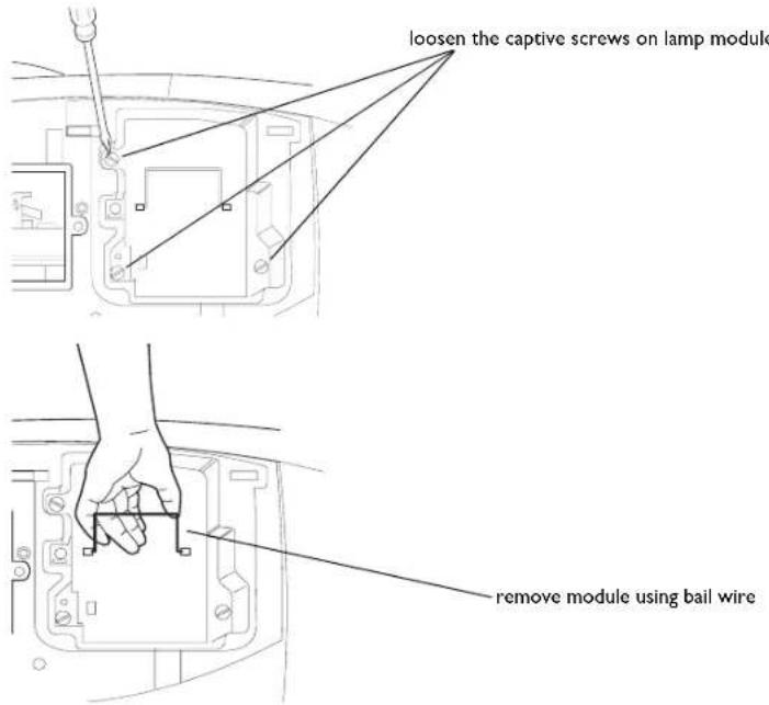 INFOCUS LP840 - Resetting the lamp timer - 1