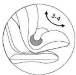 Bertoni F1 - INSTALLING THE CAR SEAT group I /9-18 kg/ - 1