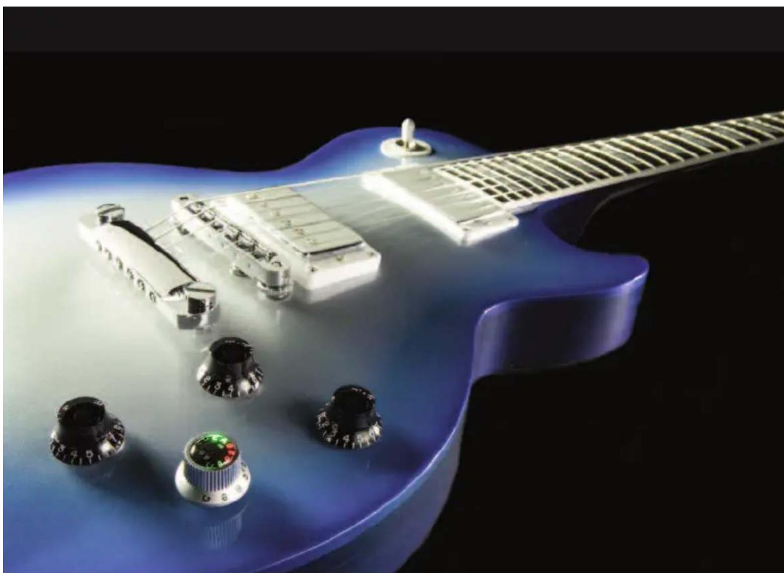 Gibson Les Paul Birdseye - PRECAUTIONS: - 1