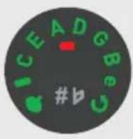 Gibson Les Paul Birdseye - BATTERY LEVEL - 1