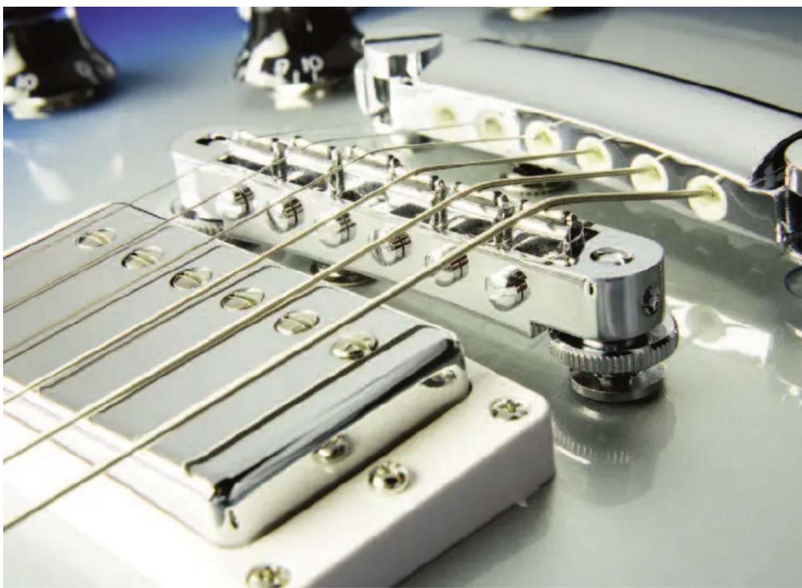 Gibson Les Paul Birdseye - PRECAUTIONS: - 2