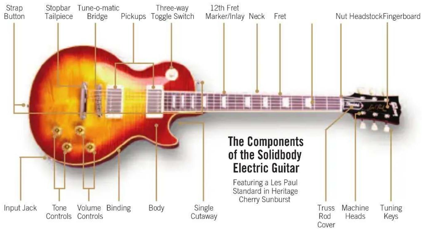 Gibson Les Paul Birdseye - NEW TECHNOLOGY - 1