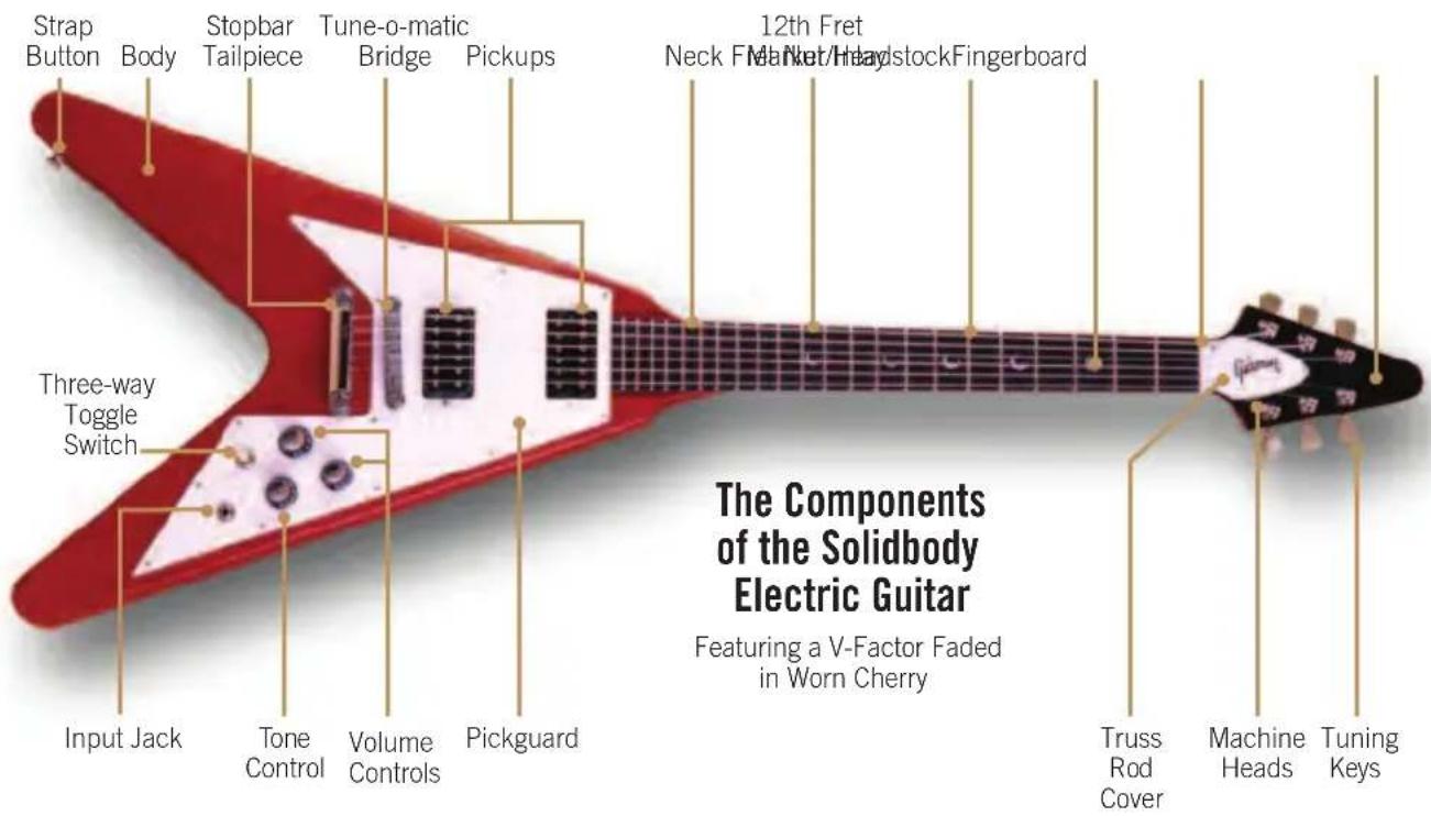 Gibson Les Paul Birdseye - NEW TECHNOLOGY - 2