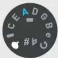 Gibson Les Paul Birdseye - Function Display LEDs Action Remarks - 1