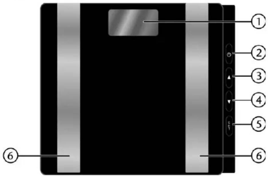 Sanotec MD 12840 - Überblick - 1