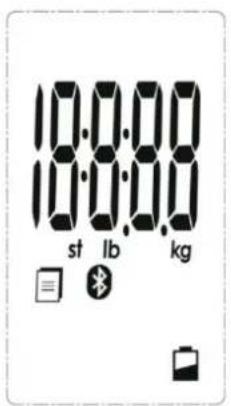 10:00:00 st lb kg