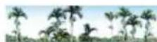Areca ARC-1213-4I - System Information - 1