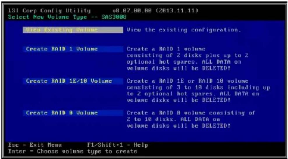 ASUS PIKE II 3008-8i - 查看阵列属性 - 2