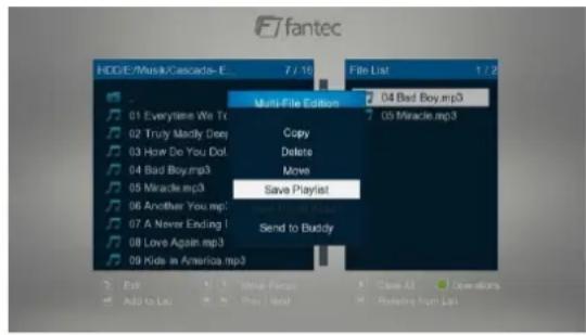 Fantec 3DS4600 - Musikwiedergabeliste erstellen - 2