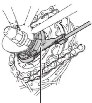 Raleigh Superbe Comfort - Montera bort bakhjul - 1