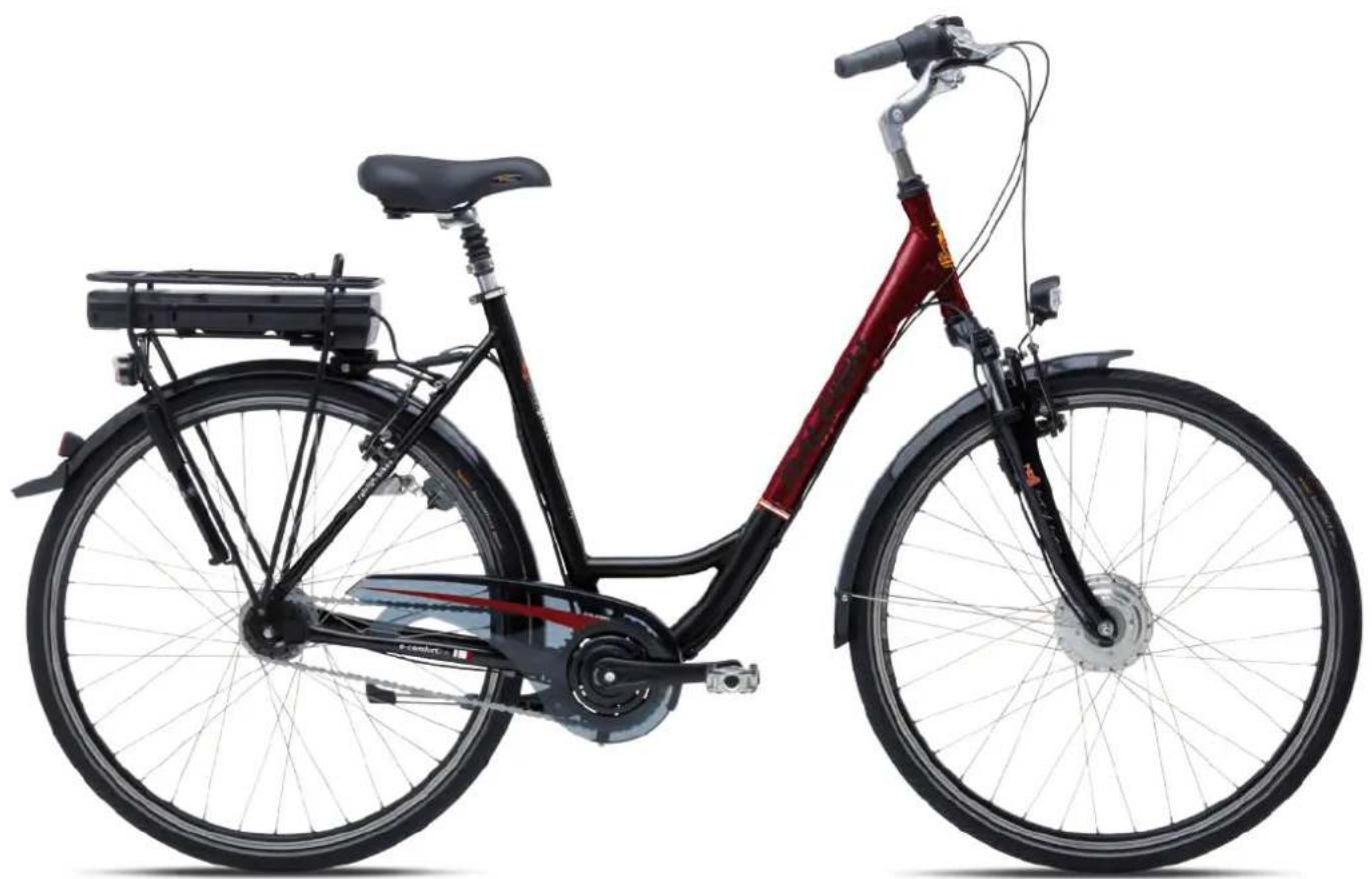 Raleigh Superbe Comfort - User Manual Groove Pedelec - 1