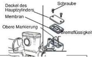 SYM Phony SR125 - (Nachfüllen der Bremsflüssigkeit) - 2
