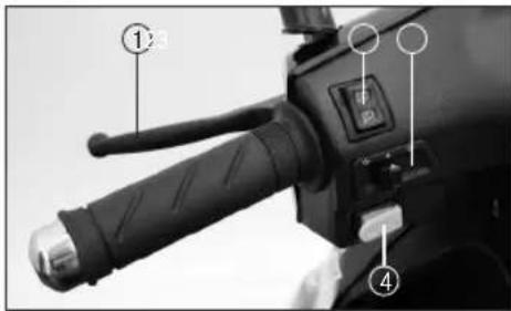 REX RS460 - Hupenknopf - 1