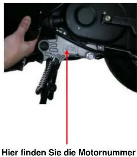 AGM GMX 550 - Motor und Fahrgestellnummer - 2