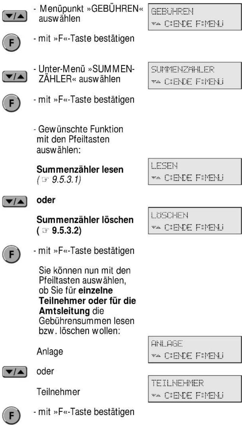 Hagenuk DigiCell Home I - Summenzähler - 1