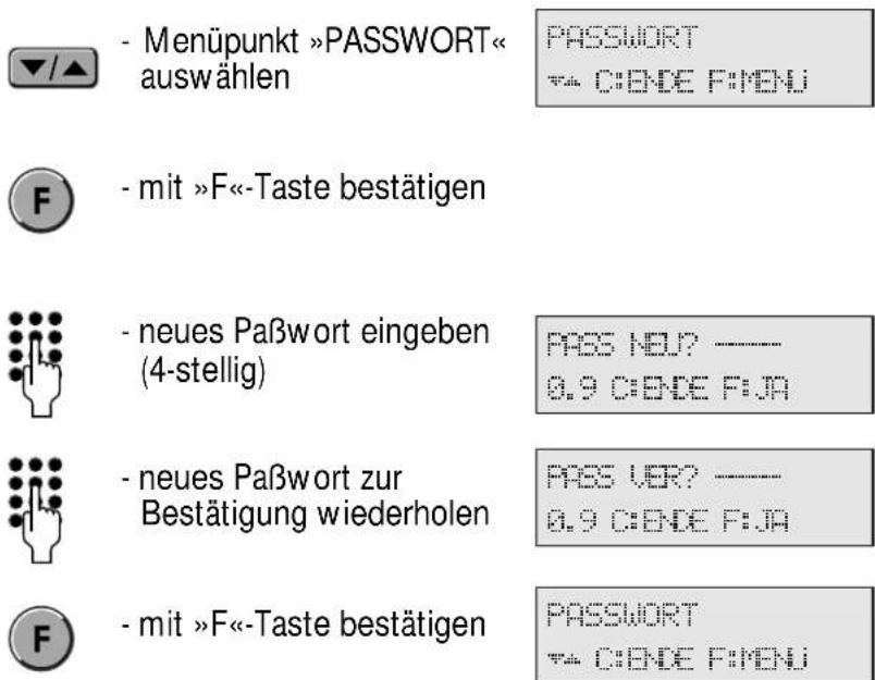 Hagenuk DigiCell Home I - Paßwort - 1