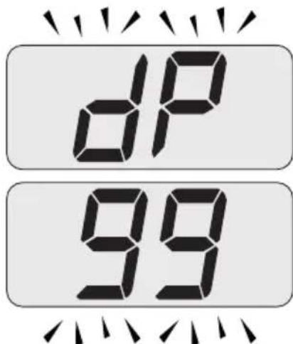 Biasi Advance Plus Combi 30C ERP - MAINTENANCE - 2