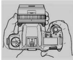Line drawing of hands holding a DSLR camera with a mounted screen (no text or symbols visible)