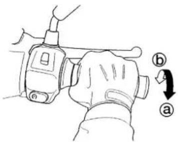 Diagram showing a hand operating a handheld device with labeled parts (a) and (b), indicating a step or direction of operation.