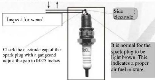 Bintelli Breeze 49cc - Service and Maintenance of the Spark Plug - 1