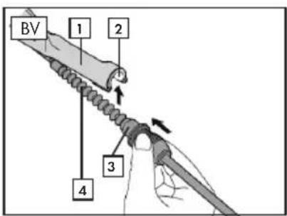 Prophete Geniesser 7.4 - HINTERRAD AUSBAUEN - 8