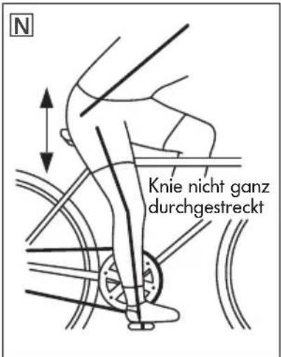 Prophete Entdecker 7.2 - HÖHE EINSTELLEN - 2