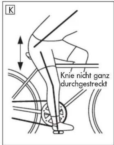 Prophete Classic - NEIGUNG- UND POSITION EINSTELLEN - 1