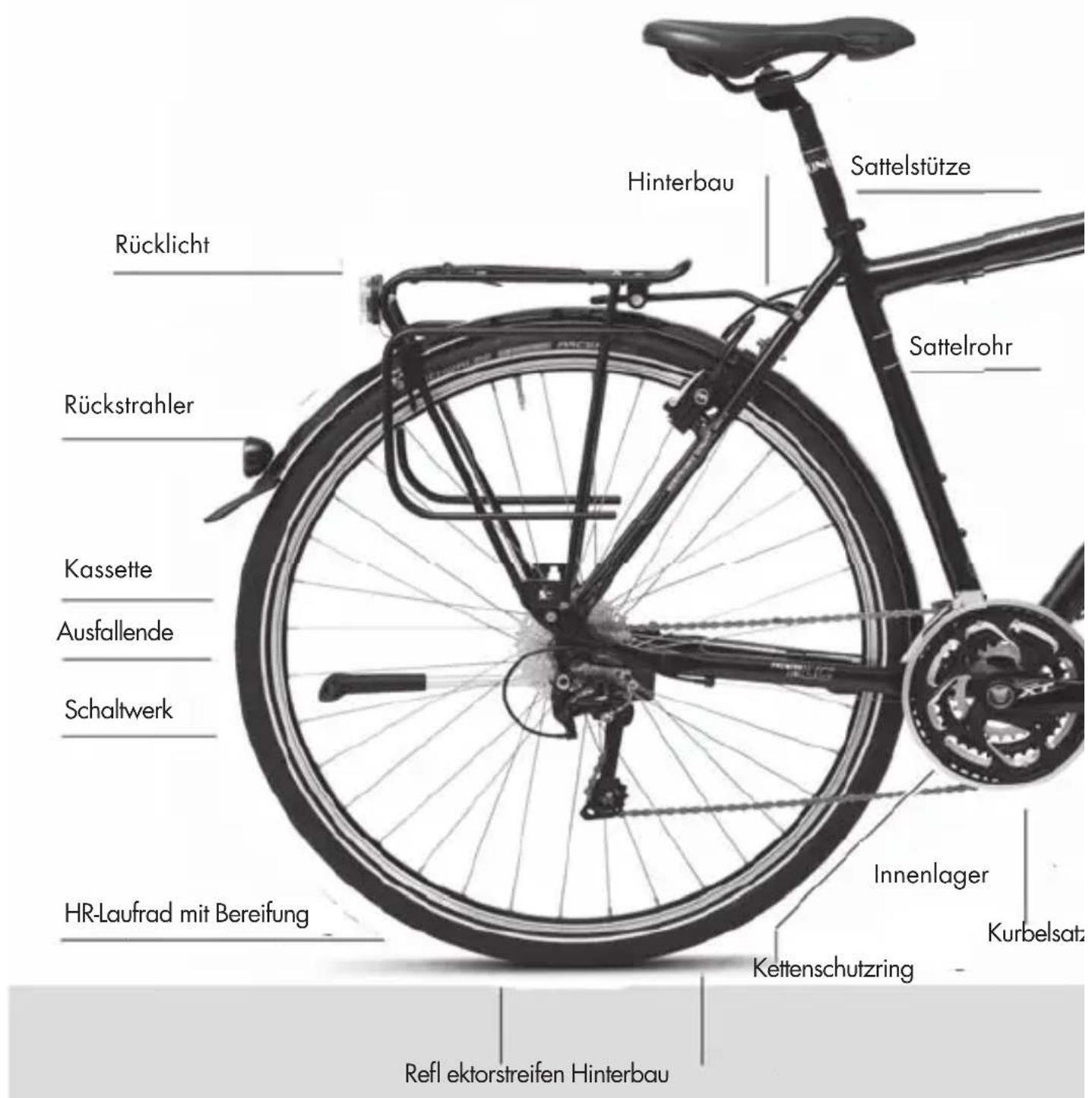 Gudereit Sportline SX-S - Beleuchtung - 2