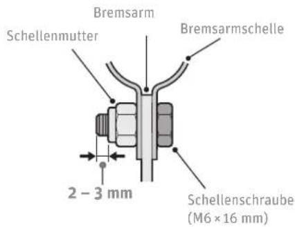 Kalkhoff City Glider 3 - bei Rädern mit Nabenschaltung - 6