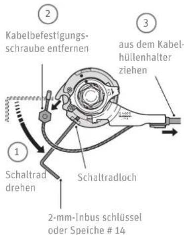 Kalkhoff Blackwood 21 - Hinterrad ausbauen - 5