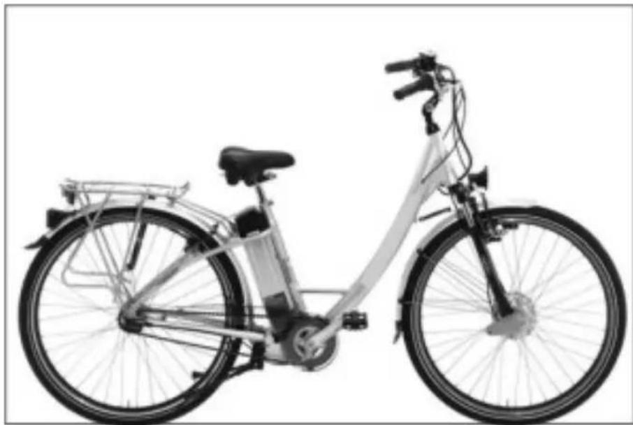 Luxxon Pedelec - 1