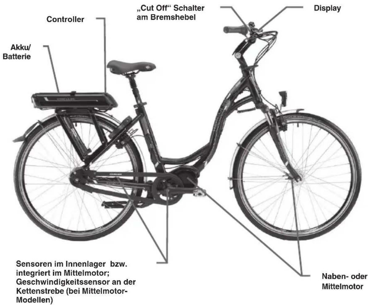 „Cut Off“ Schalter am Bremshebel Controller Akku/ Batterie Display Naben- - oder Mittelmotor Sensoren im Innenlager bzw. integriert im Mittelmotor; Geschwindigkeitssensor an der Kettenstrebe (bei Mittelmotor- Modellen)