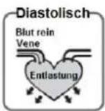 A-Rival SQan u - Was bedeuten systolischer und diastolischer Druck? - 2