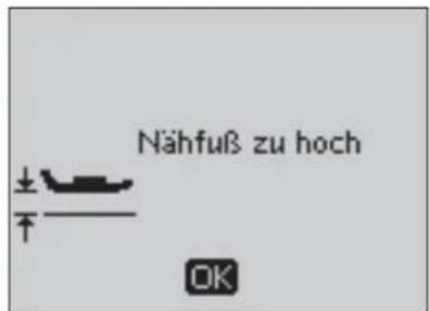 Husqvarna-Viking Eden Rose 250C - Dieser Stich kann nicht mit der Zwillingsnadel genäht werden - 2