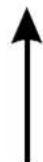 Thor TGS 601 TI - Oberen Geschirrkorb beladen - 1