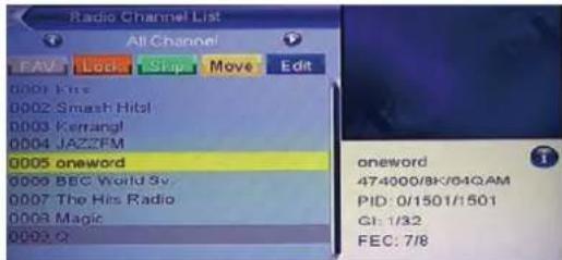 TV Star T910 - Radio Channel List - 1