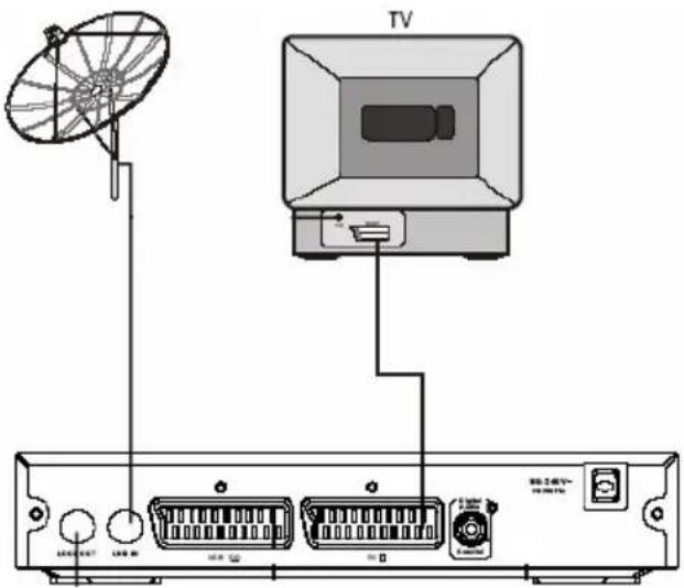 XORO HRS 3000 - Verbinden zu einem TV Fernsehgerät und zu der Satellitenschüssel - 1