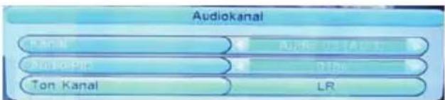 Audiokanal Audi Kanal Audio Kanal Dinhe Ton Kanal LR