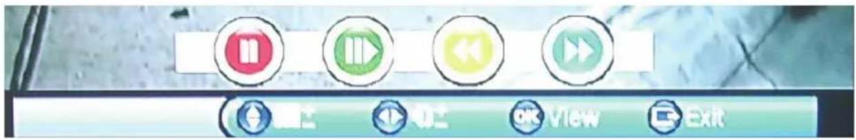 Screenshot of a software toolbar with five circular icons labeled with Chinese text and icons, including play, audio, video, and exit functions.