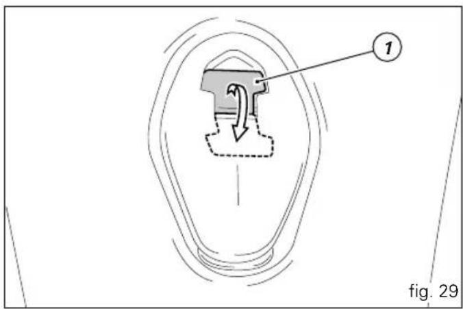 1 fig. 29