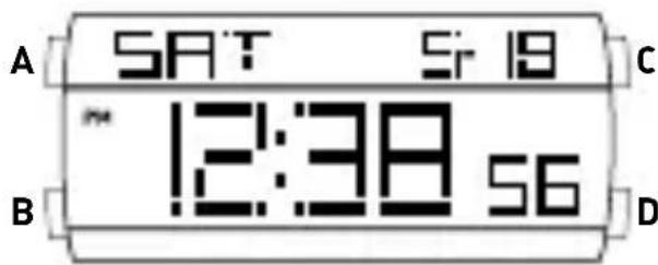 A SAT Sr 19 C ~ 12:38 56 B D