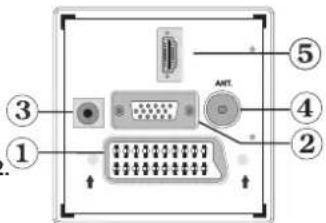 TechLine TL-22LC741 - Ansicht der Anschlüsse – Anschlüsse an der Rückseite - 1