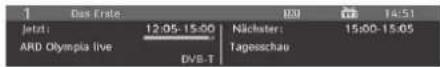 TechLine TL-22LC741 - Informationszeile - 1